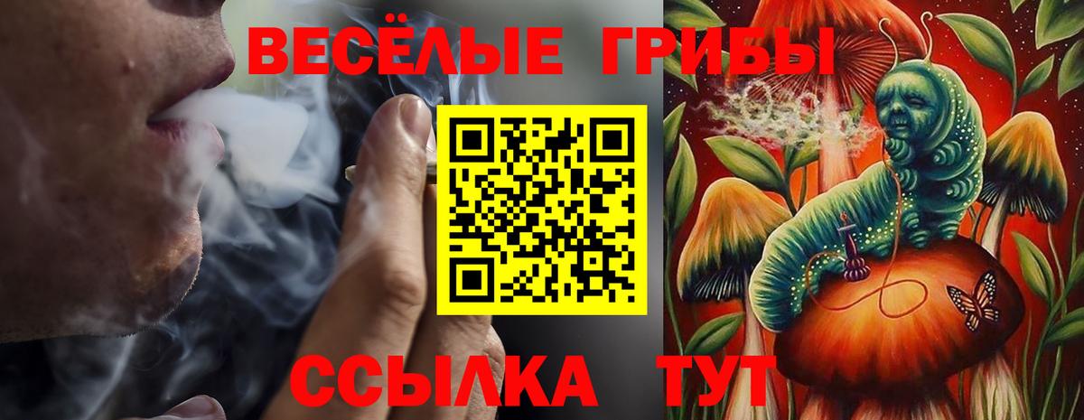 Галлюциногенные грибы мицелий  Вход с VPN  Лобня 